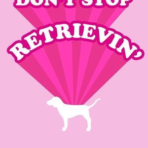 Meet your Posher, Anne